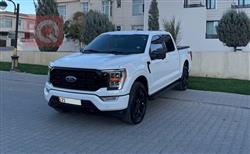 فۆرد F-150